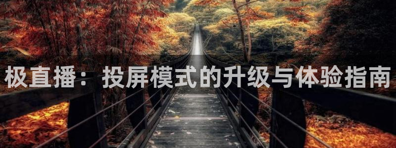 极直播：投屏模式的升级与体验指南