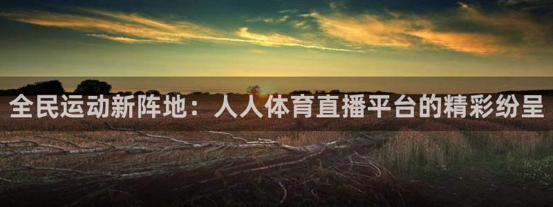 全民运动新阵地：人人体育直播平台的精彩纷呈