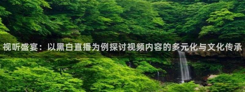 视听盛宴：以黑白直播为例探讨视频内容的多元化与文化传承