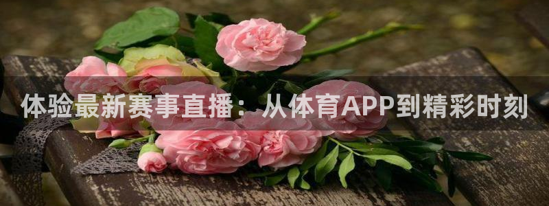 体验最新赛事直播：从体育APP到精彩时刻
