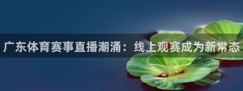 广东体育赛事直播潮涌：线上观赛成为新常态