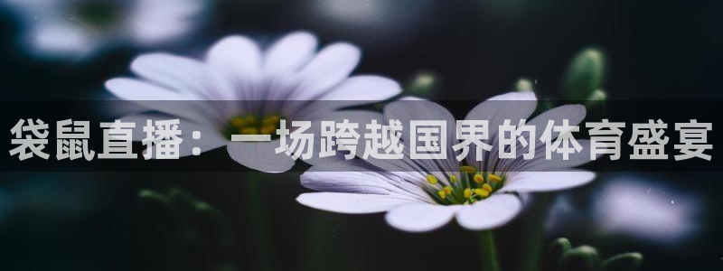 袋鼠直播：一场跨越国界的体育盛宴