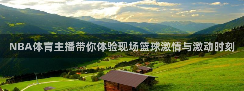 NBA体育主播带你体验现场篮球激情与激动时刻