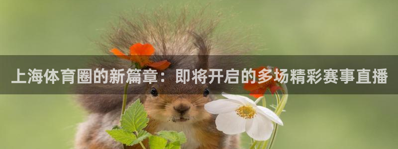 上海体育圈的新篇章：即将开启的多场精彩赛事直播