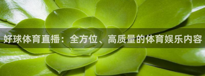 好球体育直播：全方位、高质量的体育娱乐内容