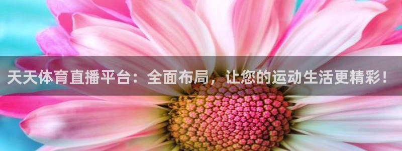 天天体育直播平台：全面布局，让您的运动生活更精彩！