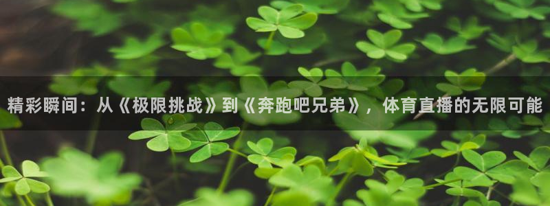 精彩瞬间：从《极限挑战》到《奔跑吧兄弟》，体育直播的无限可能