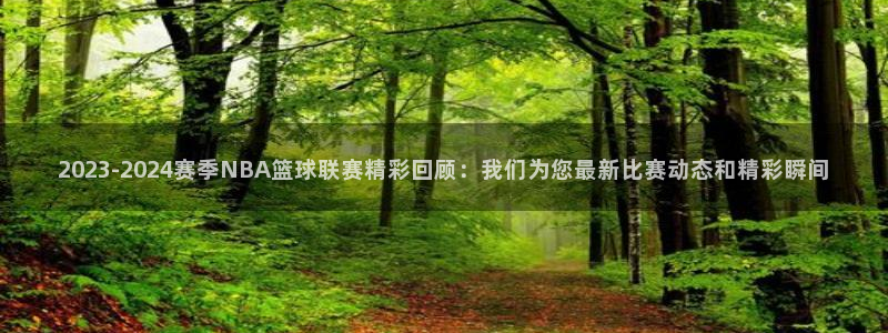 2023-2024赛季NBA篮球联赛精彩回顾：我们为您最新比赛动态和精彩瞬间