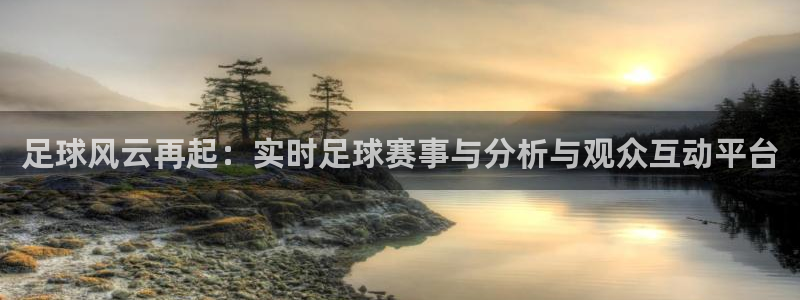 足球风云再起：实时足球赛事与分析与观众互动平台