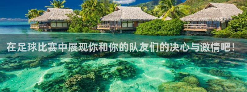 在足球比赛中展现你和你的队友们的决心与激情吧！
