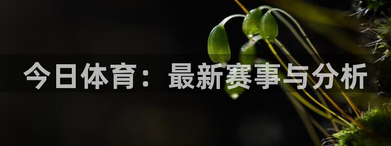 今日体育：最新赛事与分析