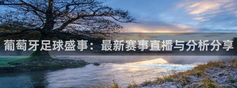 葡萄牙足球盛事：最新赛事直播与分析分享