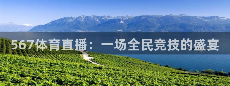 567体育直播：一场全民竞技的盛宴