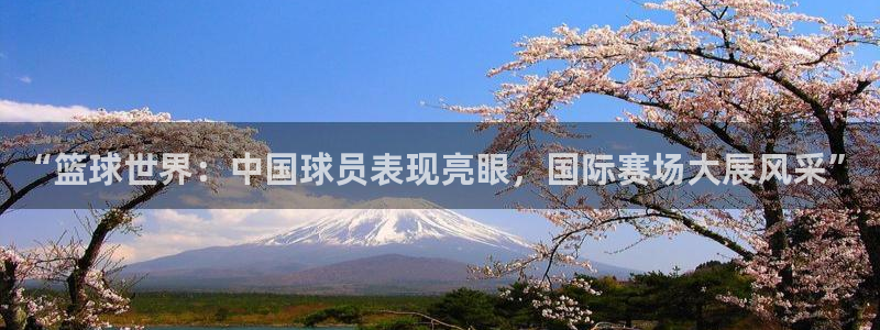 “篮球世界：中国球员表现亮眼，国际赛场大展风采”