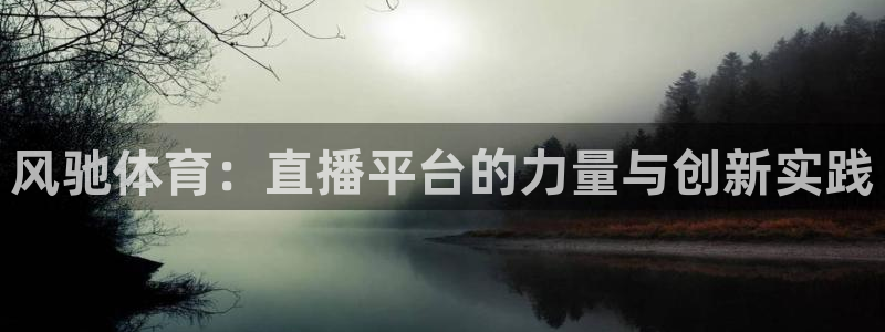 风驰体育：直播平台的力量与创新实践