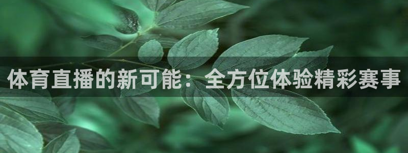 体育直播的新可能：全方位体验精彩赛事
