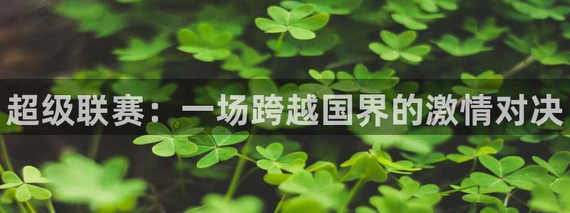 超级联赛：一场跨越国界的激情对决
