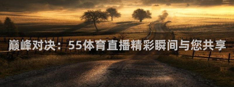 巅峰对决：55体育直播精彩瞬间与您共享