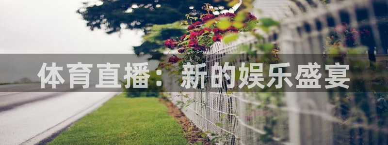 体育直播：新的娱乐盛宴