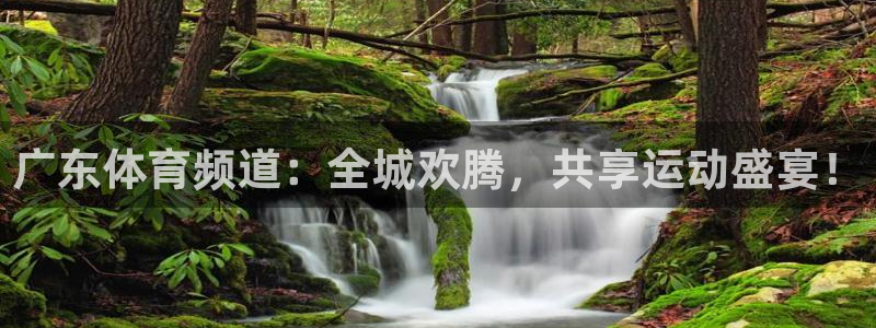 广东体育频道：全城欢腾，共享运动盛宴！