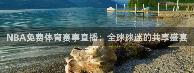 NBA免费体育赛事直播：全球球迷的共享盛宴