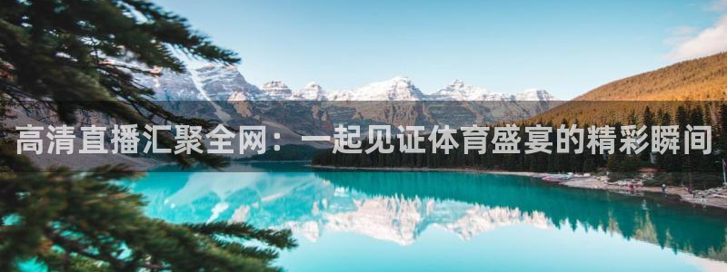高清直播汇聚全网：一起见证体育盛宴的精彩瞬间
