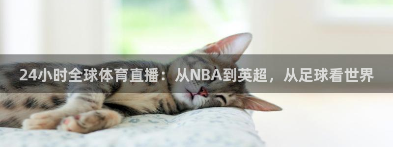 24小时全球体育直播：从NBA到英超，从足球看世界