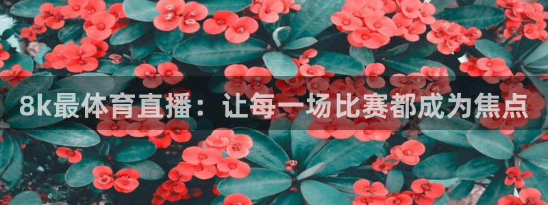 8k最体育直播：让每一场比赛都成为焦点