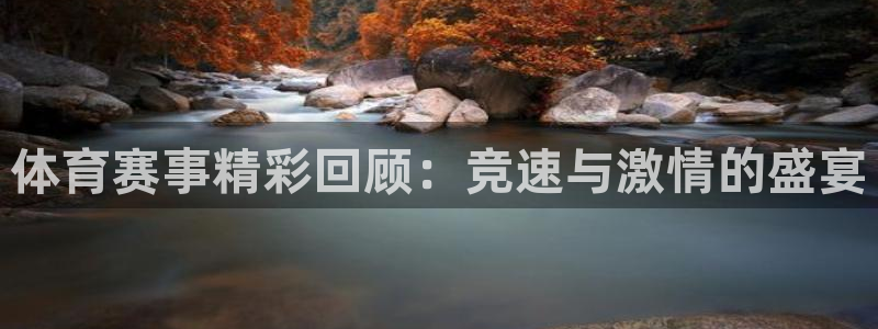 体育赛事精彩回顾：竞速与激情的盛宴