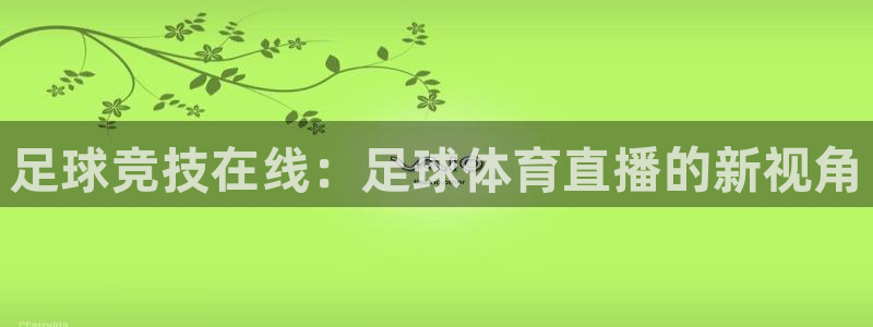 足球竞技在线：足球体育直播的新视角
