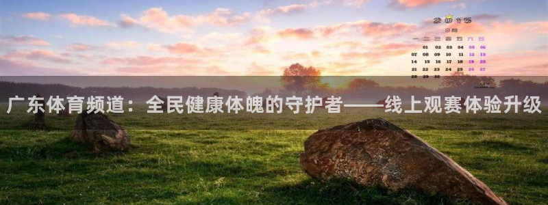 广东体育频道：全民健康体魄的守护者——线上观赛体验升级