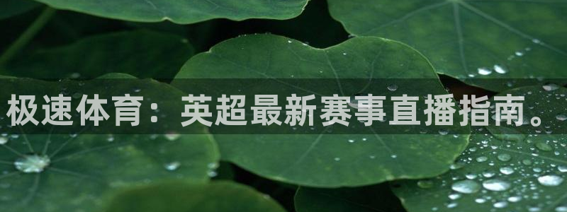 极速体育：英超最新赛事直播指南。