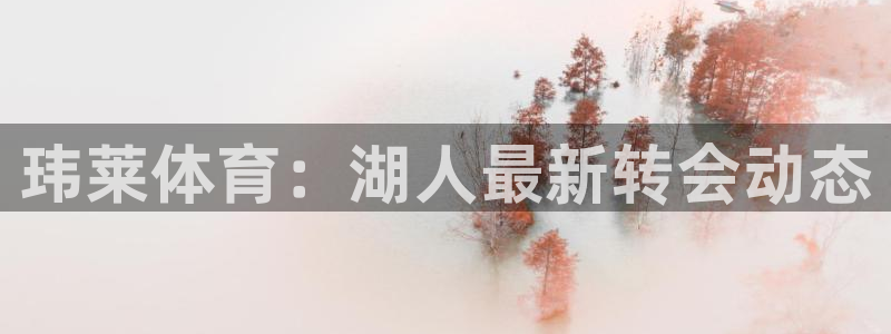 玮莱体育：湖人最新转会动态