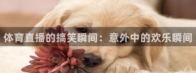 体育直播的搞笑瞬间：意外中的欢乐瞬间