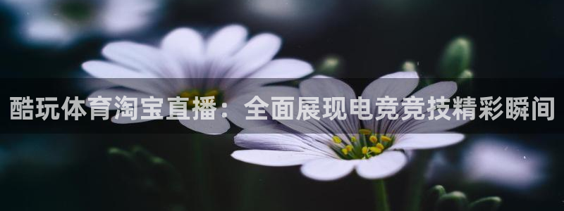 酷玩体育淘宝直播：全面展现电竞竞技精彩瞬间