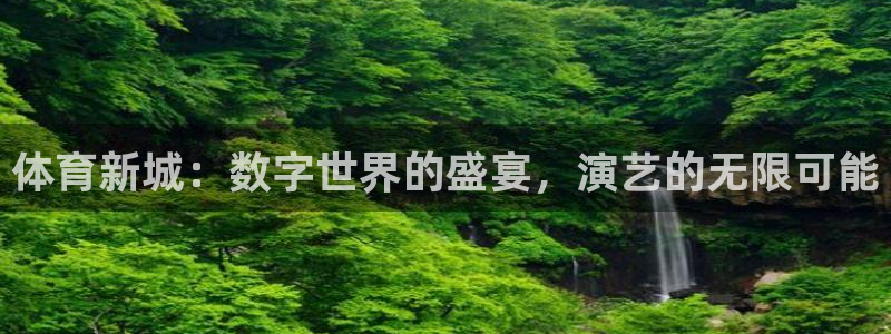 体育新城：数字世界的盛宴，演艺的无限可能