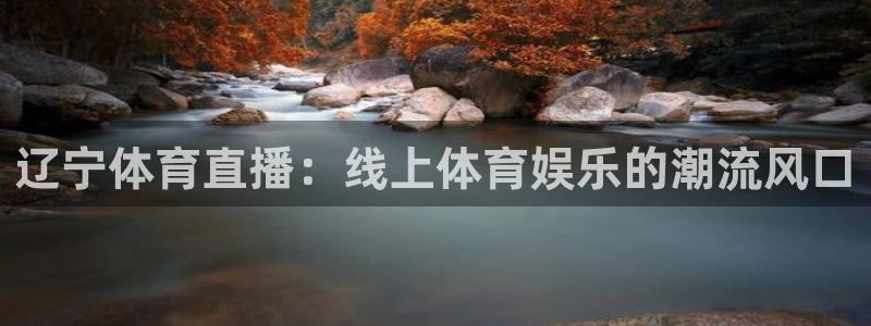 辽宁体育直播：线上体育娱乐的潮流风口