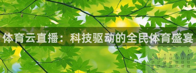 体育云直播：科技驱动的全民体育盛宴