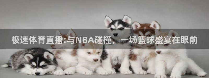 极速体育直播:与NBA碰撞，一场篮球盛宴在眼前