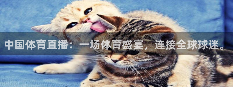 中国体育直播：一场体育盛宴，连接全球球迷。