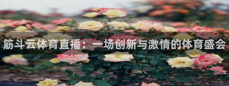 筋斗云体育直播：一场创新与激情的体育盛会