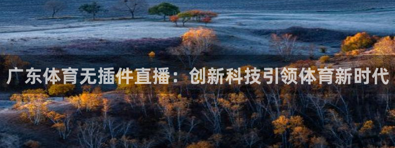 广东体育无插件直播：创新科技引领体育新时代