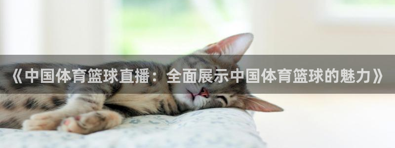 《中国体育篮球直播：全面展示中国体育篮球的魅力》